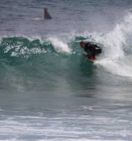 Surf Laurent Photo: Aitor Arruti